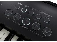 <b>Roland FP-E50 COM SACO ALMOFADADO ROLAND CB-B88V2, ESTANTE PARTITURAS E PEDAL SUSTAIN ROLAND DP-2</b> <b>Roland FP-E50 COM SACO ALMOFADADO ROLAND CB-B88V2, ESTANTE PARTITURAS E PEDAL SUSTAIN ROLAND DP-2</b>